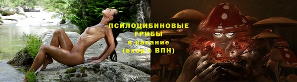 марки lsd Заводоуковск