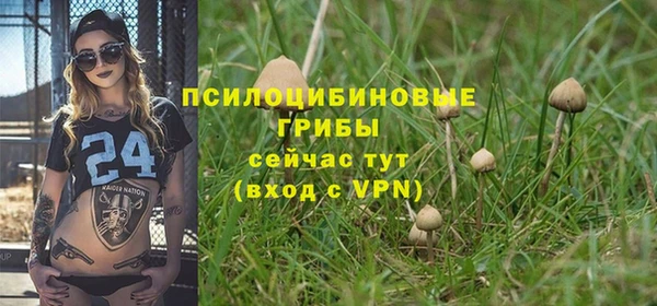 марки lsd Заводоуковск