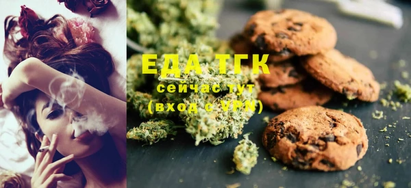 винт Ельня